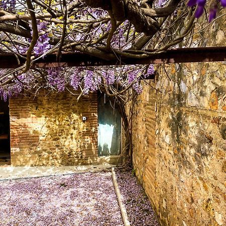 Gite De Charme Du Domaine Pagnon Guillemette Torreilles Esterno foto