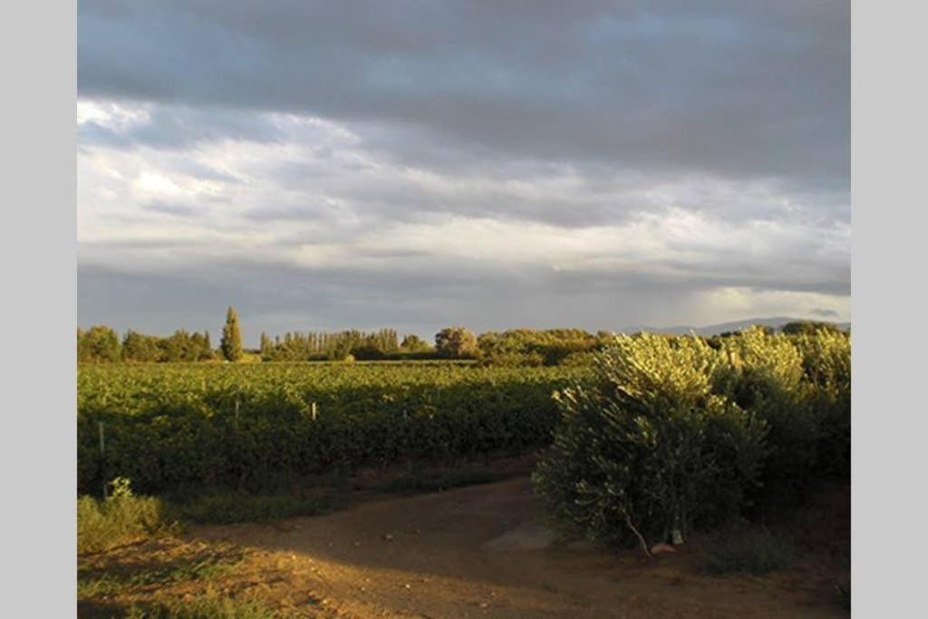 Gite De Charme Du Domaine Pagnon Guillemette Torreilles Esterno foto