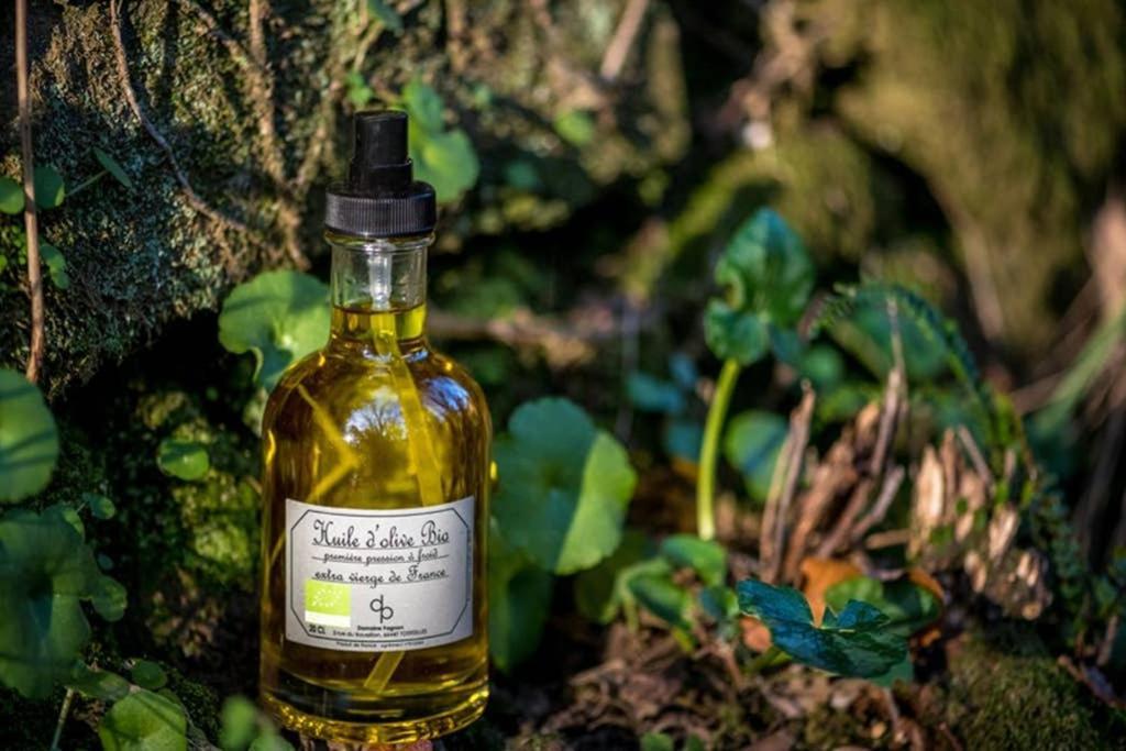 Gite De Charme Du Domaine Pagnon Guillemette Torreilles Esterno foto